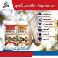 ปุ๋ยน้ำ บูสเตอร์สีแดง+ส้ม (ชุดบำรุงดอกและผล) (1000ml x 2 ขวด)