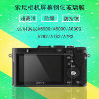 A5000 A6000 A6300 RX100 M6 NEX6 7 Mirrorless Camera Camera Tempered Film Screen Film