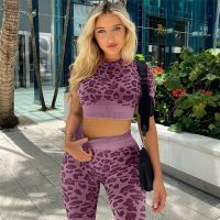 Seamless Yoga Suit Women Fitness Suits Leopard Print Short Sleeve Crop Top Tight Hip Lift Pants Yoga Set  Women Sport Suits Protective Gear