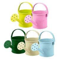 【CC】 Metal Watering Can- 5PCS Small Indoor Can Kids Children Garden Outdoor