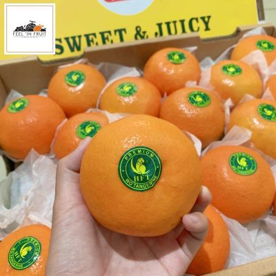 หวานเจี๊ยบบบ! ส้มไต้หวันนกแก้ว WO  ✨ (ไซส์ XL) จากไต้หวัน สดใหม่ หวาน ฉ่ำ อร่อย (7กิโล/36ลูก)