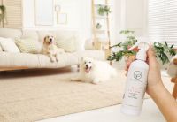 24Hrs 3 in 1 Spray for pet 250 ml สเปรย์กำจัดกลิ่นตัว ปราศจากแอลกอฮอล์ ปราศจากน้ำหอม