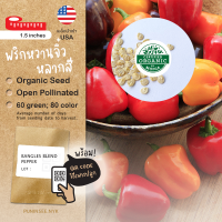 เมล็ดผักนำเข้า พริกหวานจิ๋ว คละสี Mini Pepper (Organic Seed) ปลูกง่าย ทนทาน