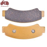 Motorcycle Front Brake Pads Disc For CF MOTO C-Force 400 2018-2019 CForce 500 2017-2019 1000 Z-Force 2018-2021 2020 ZForce 1000