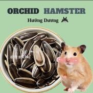 Hướng Dưỡng Dành Cho Hamster