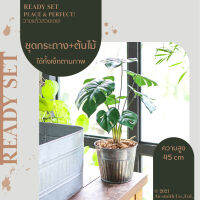 Homequarterbkk-Mellow Set-Monstera ต้นมอนสเตอร่า ชุด เซท เซ็ทพร้อมโชว์ ของตกแต่งบ้าน ต้นไม้ปลอม พร้อมกระถางสังกะสีลายพลีท ราคาต่อ 1 ชุด