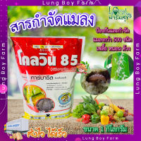 โกลวิน 85  ขนาด 1 กิโลกรัม  ? คาร์บาริล 85 % WP ยากำจัดแมลง เพลี้ย ยาฆ่าหนอน กำจัดหนอน ปลวก มด สำหรับ : พืชผัก ไม้ผล และไม้ดอกไม้ประดับทั่วไป