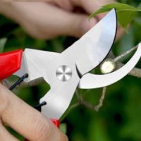 Garden floral s Pruning shears Fruit nch shears Flower and tree shears Powerful pruning shears tools