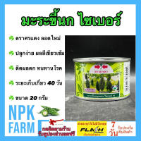 มะระขี้นก ไซเบอร์ ขนาด 20 กรัม เมล็ดพันธุ์ ศรแดง ลอตใหม่ งอกดี ผลสีเขียวเข้ม หนามเล็ก ติดผลดก ทนโรคราแป้ง ทนไวรัส ระยะเก็บเกี่ยว 40 วัน