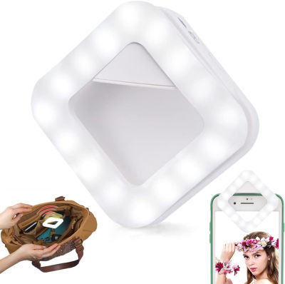 Daidido Portable Clip on Ring Light for Phone | Portable Automatic Sensor Purse Light Handbag Light | Rechargeable Selfie Mini LED Cell Phone Right Light for iPhone Photo Camera TikTok Video Makeup Travel