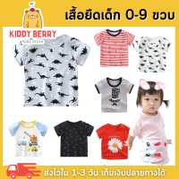 Kiddy Berry ในไทยพร้อมส่ง เสื้อผ้าเด็กแขนสั้น 0-9ขวบ เสื้อยืดเด็ก ผ้าฝ้าย100%