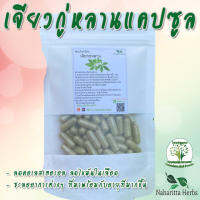 เจียวกู่หลาน ขนาด 50/100cap.(500mg.) เลือกขนาดได้ สมุนไพรล้วน100% คุณภาพดี ออแกนิค