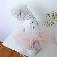 Bowknot Dog Princess Dress Summer Pet Clothes For Dogs Lace Dress Tutu Skirt Wedding Dresses Yorkies Chihuahua Cat Clothing Dresses