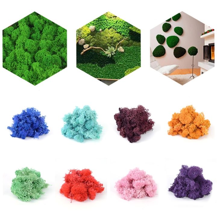 20g-40g-quality-artificial-moss-immortal-moss-simulation-green-plant-grass-home-decorative-wall-diy-micro-landscape-accessories