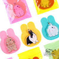 New High Transparent Shaped Keychain Original Hand-Painted Acrylic Rabbit 2.0 Picture Birthday Gift