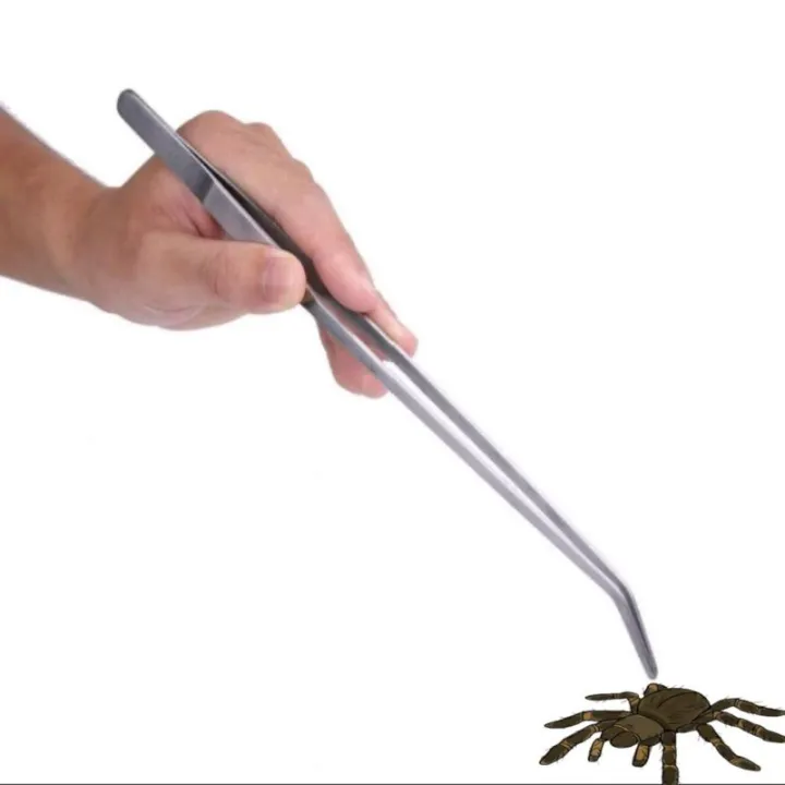Long Tweezers (10 INCHES) Forceps For Feeding Tarantula or Scorpions in