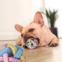 【Witte】PET สินค้าพร้อมส่ง ลูกบอลยาง คละสี ของเล่นสุนัข ของเล่นสัตว์เลี้ยง มีกระดิ่งข้างใน
