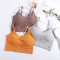 2021 Womens Cotton Underwear Tube Tops Fashion Solid Color Tank Up Female Sports Underwear New Sling Top Female Sexy Lingerie