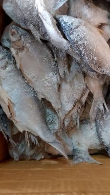 ปลาหมักเกลือ ปลาเน่าเก็ดเซ น้ำหนัก 500 กรัม ปลาหมักพม่า ปลาเน่า ปลาเน่าเกเซ นำไปประกอบอาหารได้หลากหลายชนิด รับประกันความอร่อย