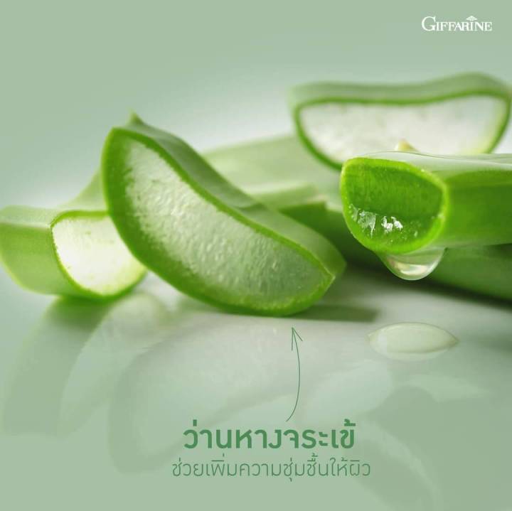 ส่งฟรีครีมอาบน้ำ-สบู่อาบน้ำ-ครีมอาบน้ำว่านหางจระเข้-ครีมอาบกิฟฟารีน-ครีมอาบน้ำวิตามินอี-ครีมอาบน้ำอโลเฟรช-ขนาด-500-ml-natty-shop