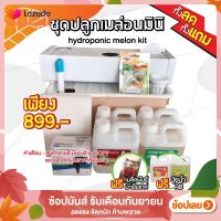 ชุดปลูกเมล่อนมินิ ระบบน้ำวนไฮโดรโปนิกส์ (ชุดปลูกไฮโดรโปนิกส์) by hydroponicgroup