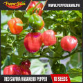 Red Savina Habanero Pepper Seeds (10 seeds). 