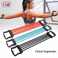 CCW Chest Expander Puller Gym Workout Chest Developer Muscle Expander Resistance Bands Fitness Exercise Band Training Equipment