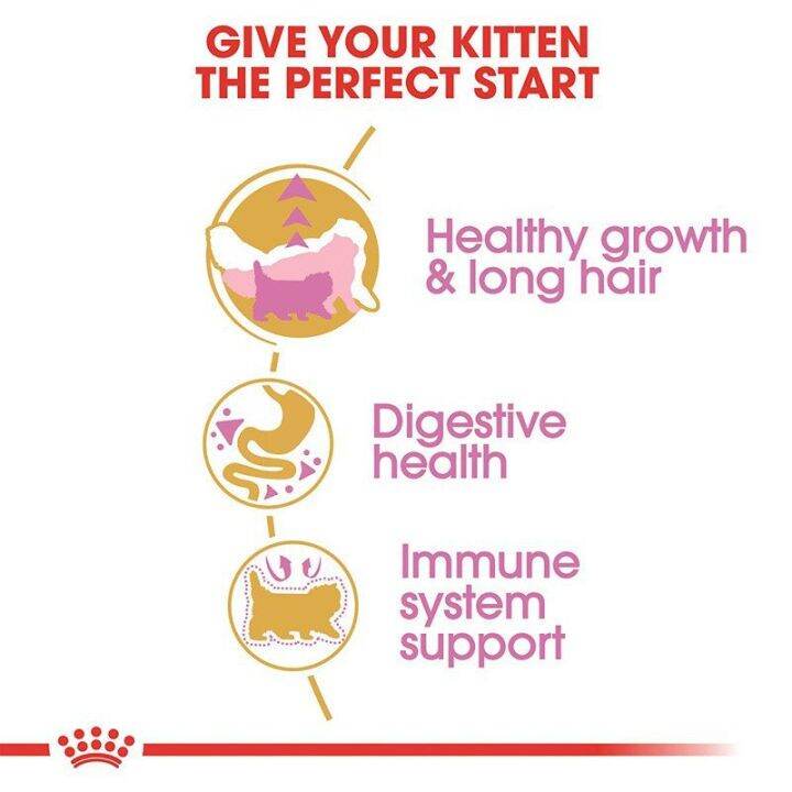 ส่งฟรี-royal-canin-kitten-persian-400g-อาหารเม็ดลูกแมว-พันธุ์เปอร์เซียน-อายุ-4-12-เดือน