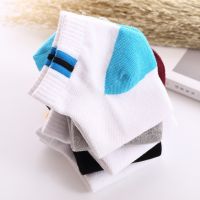 Mens Cotton Mesh Breathable Business Casual Short Tube Socks