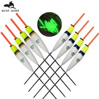 ☍☬ 10pcs/lot 2.5g Fishing Floats Set Buoy Bobber Float Fluorescent Lightstick Floats Drift Tail For Carp Fishing Tackle Accessories