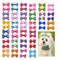 【YF】☫﹍  10/20/30pcs Dog Grooming Bows mix 30colours dog Hair Small Pog Accessories Rubber Bands Supplier