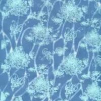 กระดาษสาลายน้ำ (Printed Handmade Watermark Mulberry Paper/Saa Paper Flora &amp; Plants on the Water)