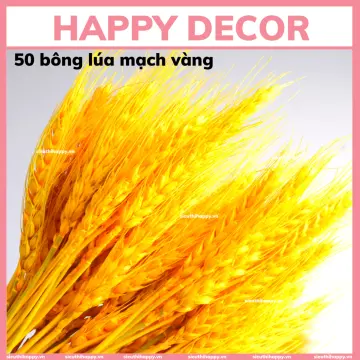 Bong Lúa Mạch Vàng Giá Tốt T10/2024 | Mua tại Lazada.vn