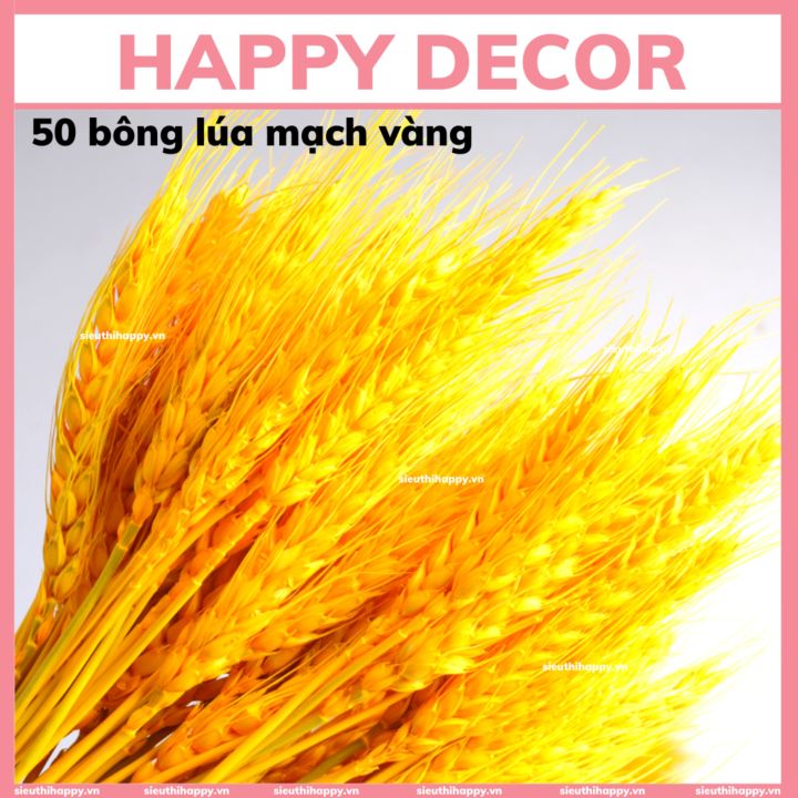 HAPPY DECOR] 50 Bông lúa mạch vàng sấy khô tự nhiên, bông lúa tài ...