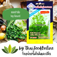 3A เมล็ดพันธุ์ ตำลึง ตราสามเอ Ivy Gourd