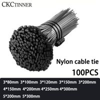 100PCS Self-locking plastic nylon tie Black Organiser Fasten Cable 3*80mm/3*100mm/3*200mm/4*200mm 4*300 Loop Wire Wrap Cable Management