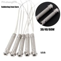 Sale External heat Durable 220V 30W40W60W Welding Tool Soldering Iron Core Weld Equipment Heating Element Replacement