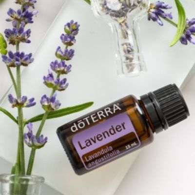 น้ำมันหอมระเหย ดอก ลาเวนเดอร์ Lavender Esencial Oil