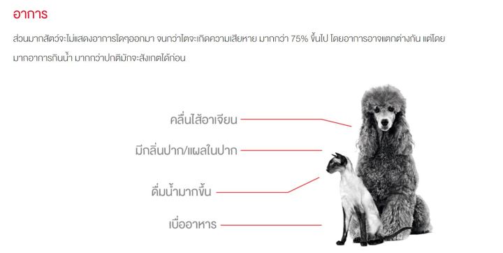 หมดกังวน-จัดส่งฟรี-royal-canin-renal-small-dog-ขนาด-1-5-kg-3-5-kg-สุนัข-อาหารประกอบการรักษาโรคชนิดเม็ด-สุนัขพันธุ์เล็กโรคไต