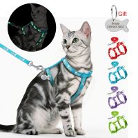 ✽▲♨ Nylon Cat Harness and Leash Set With Customized Id Tag Cats kitten Harnesses Anti Lost Name Tag Free Engraving Blue Red