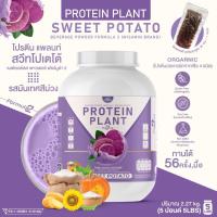 PROTEIN PLANT โปรตีนพืช สูตร 2 ( รสมันเทศ สีม่วง ) ขนาด 5 ปอนด์ 5LBS เเถมฟรีไข่มุกบุก 56 ซอง โปรตีนจากพืช 5 ชนิด ออเเกรนิค (ปริมาณ 2.27 kg./กระปุก)