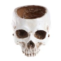 3 Styles Hand Carved Human Skull Design Flower Pot Vase Bowl Succulent Plant Planter Container Garden Home Halloween Decor