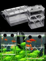 3 Types Acrylic Clear Fish Breeding Isolation Box Betta Fish Aquarium Breeder Fish Tank Hatching Incubator Fish House Home Cups  Mugs Saucers