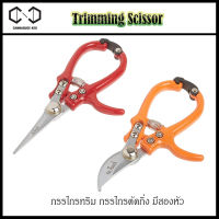 ใหม่! กรรไกร กรรไกรทริม กรรไกรตัดกิ่ง แต่งกิ่งต้นไม้ ปลายโค้ง / ปลายตรง Trimming กรรไกรทริม อย่างดี Curved Blade Straight blade Trimming Scissors Gardening Scissors Hand Pruner