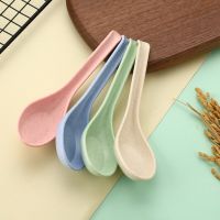 Wheat Straw Dinnerware Soup Spoons Japanese Rice Spoons  Sauces Soup Spoon Porridge Spoon  Ramen Pho Wonton Dumpling  R009 Cooking Utensils