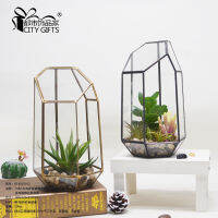 [COD] หกเหลี่ยม 3 ห้องดอกไม้กระจกด้านบน ภาชนะดอกไม้ succulents Micro-Landscape กระถางดอกไม้ K