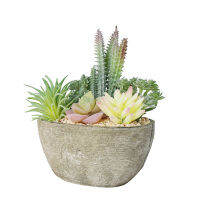 [In stock] ขายตรงไม้กระถางจำลอง พร้อมหม้อ จำลอง succulents สำนักงานบอนไซพืชสีเขียวจำลอง