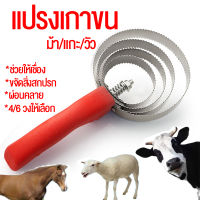 แปรงขนวัว แปรงขนแกะ แปรงขนม้า วัสดุสแตนเลส แปรงเกาขน ส่งจาไทย