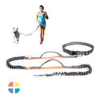 High Qulity Retractable Hands Free Dog Leash For Running Dual Handle Bungee Leash Reflective For Large Dogs Pet Supplies