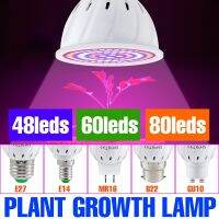 ไฟปลูกพืชไฮโดรโปนิกส์220V E27หลอดไฟส่องสว่าง Led Grow หลอดไฟ Phyto E14แบบเต็มสเปกตรัมสำหรับพืชดอกไม้ MR16 GU10โคมไฟปลูกผักไฮโดรโปนิค B22